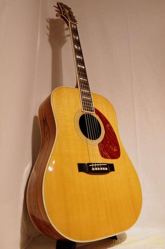 Vagi 606 acoustic guitar - vagi,