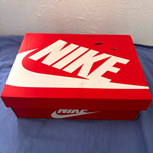 Nike dunk low light iron - gs,
