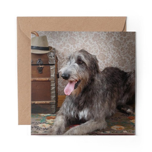 Blank greeting card - 1, x