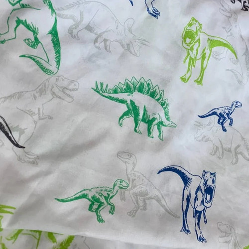 Sonoma for life dinosaur trex - for,
