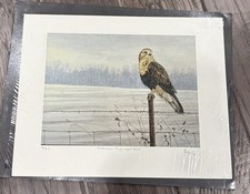 Red Tail Hawk Print
