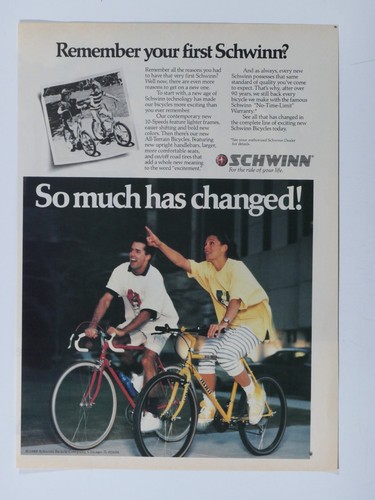Schwinn stingray fastback - schwinn,