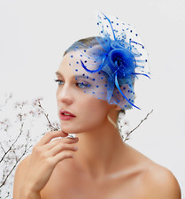 Royal Blue Feather Wedding