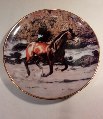 Horse plate beachcomber free - horse, beachcomber-