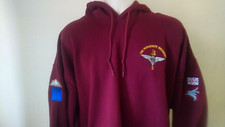 PARACHUTE REGIMENT UNITS DZ FLASH/PEGASUS HOODIE
