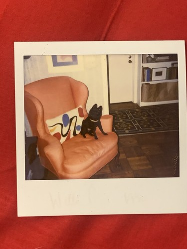 Vincent price estate polaroid - vincent,