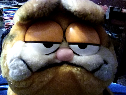 Garfield plush sitting - garfield, up