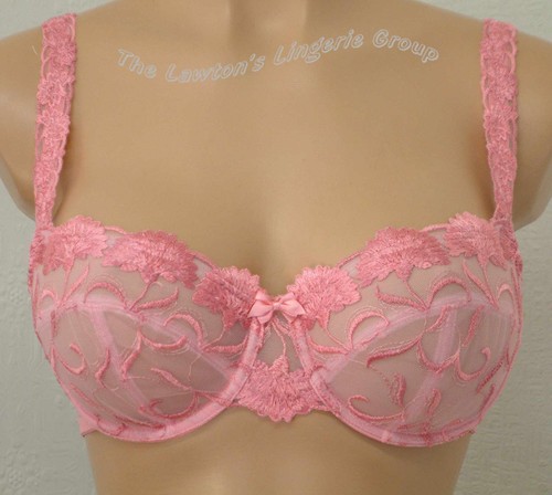 Panache carnation - panache,