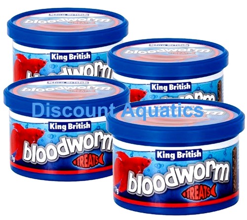 King british bloodworm - king,