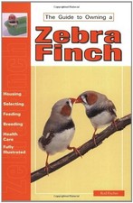 Guide to Owning a Zebra Finch