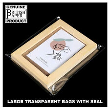 Clear Self Seal Plastic Poly