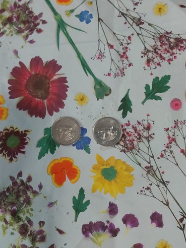 Bailiwick jersey 10p coin - bailiwick, jersey,