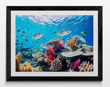 Coral Fish Seascape Framed
