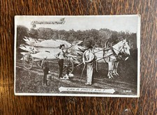 Antique 1913 Can Photo Lie