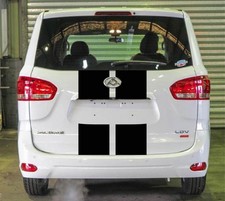 LDV Van Rear Door Stripe