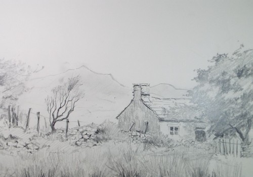 Original pencil drawing - pencil,