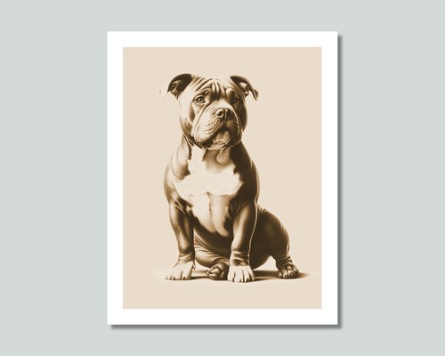 American bully dog - american,