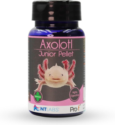 Labs pro axolotl - pro-f, junior