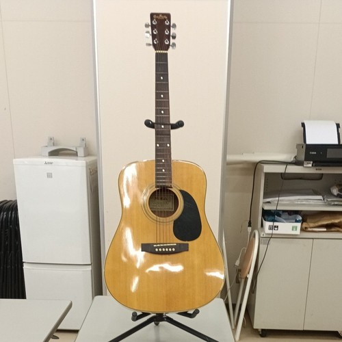 Pro martin acoustic - acoustic, guitar