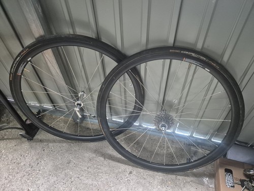 Hand built tubular - hand, carbon