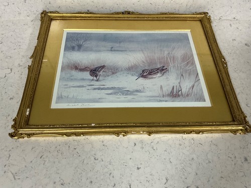 Archibald thorburn signed - archibald,