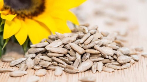 Sunflower seeds 1kg - sunflower,