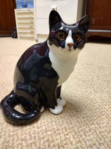 Winstanley cat size - cat,