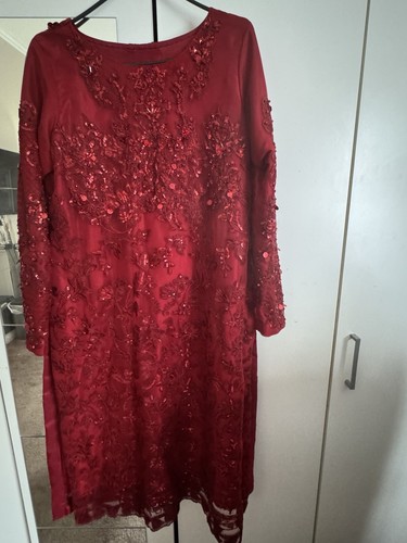 Net embroidered fancy suit - fancy,