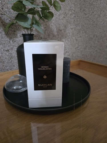 Guerlain art la - l'art, matière
