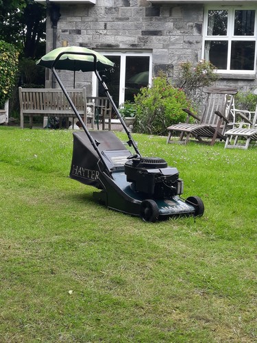 Hayter harrier rotary push - hayter,