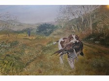 2 x Springer Spaniel Paintings Signed by Artist