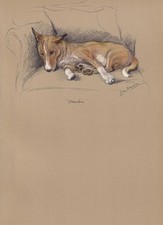 1946 BASENJI DOG Print - Lucy Dawson - Basenji Art - Vintage - 7 x 9.5 Inches