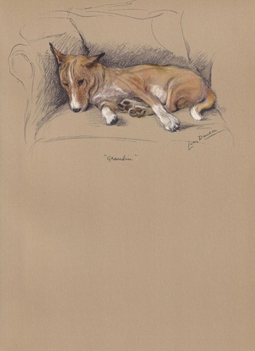 1946 basenji dog print lucy - 1946,