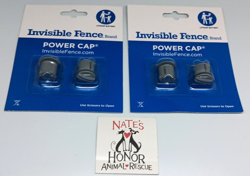 Invisible fence two packs - invisible, 2-packs