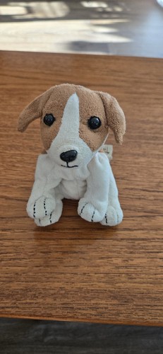 Nintendogs 2007 jack russell - nintendogs,