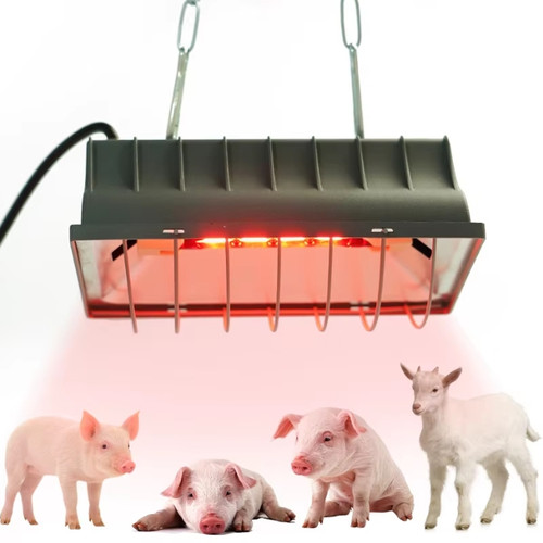250w poultry heat lamp - 250w,