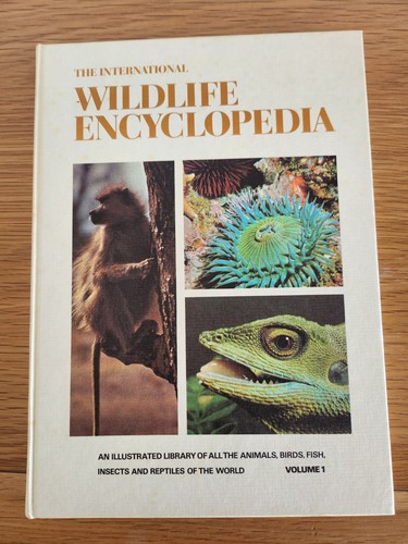 The international wildlife - international,