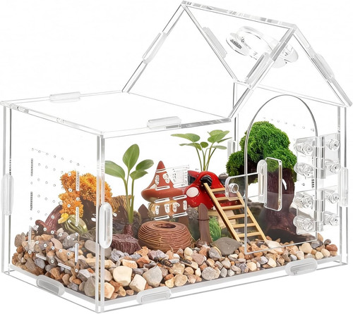 Jumping spider enclosure small - spider,