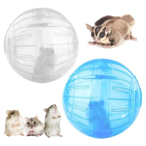 Transparent plastic hamster - transparent,