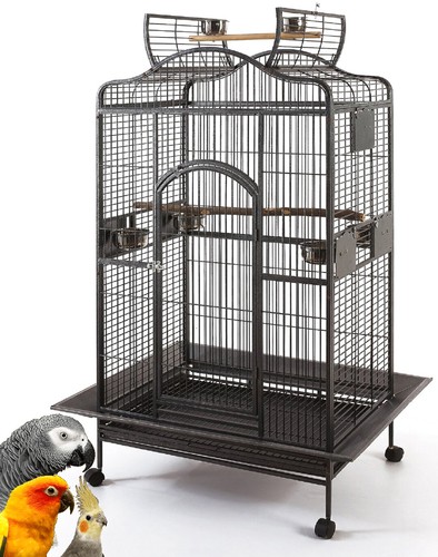 Xlarge open playtop parrot - xlarge,