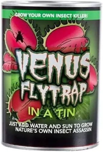 Grow your own venus fly - venus, trap