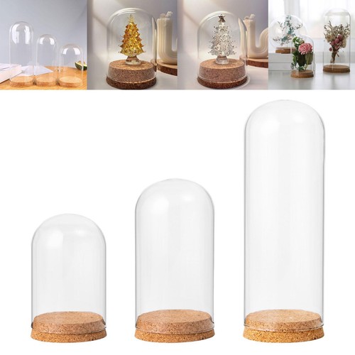 Cloche bell jar - cloche,