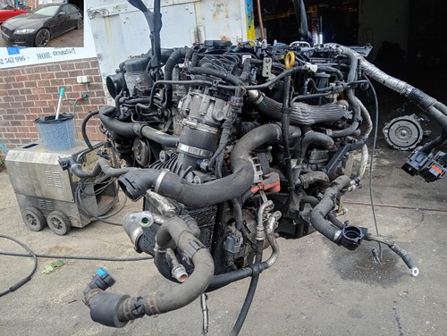 Engine diesel 204dtd - engine,