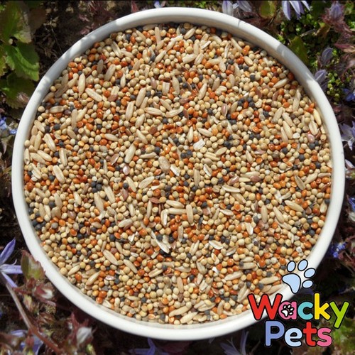 Bucktons budgie tonic - tonic, seed