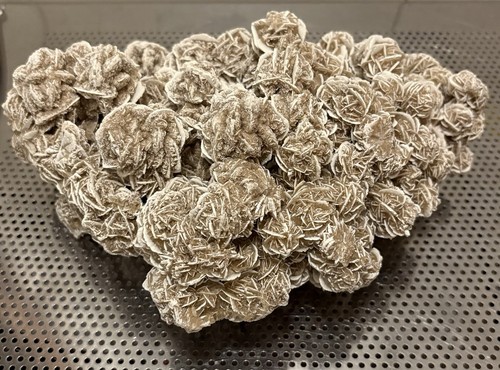 Desert rose cluster 15 - desert,