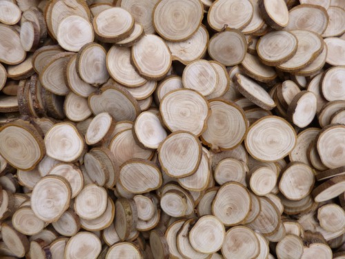 Natural wood slices discs with