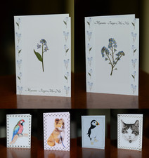 Forget Me Not Real Flower & Handmade Blank Greetings Card All Occasion/Sympathy