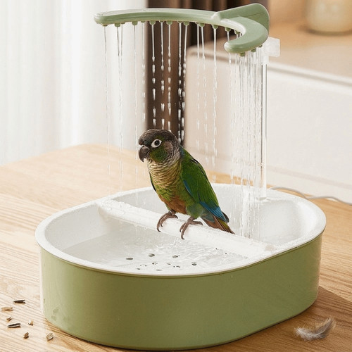 Automatic bird bathtub - bird, parrot