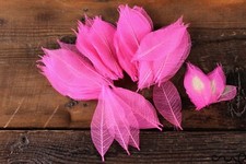 100 x Natural Skeleton Leaves PINK Rubber  Approx 2"/6-8 cm Craft Wedding Card