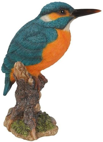 Vivid arts kingfisher - kingfisher, on